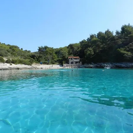 Tomic * 자발라티카