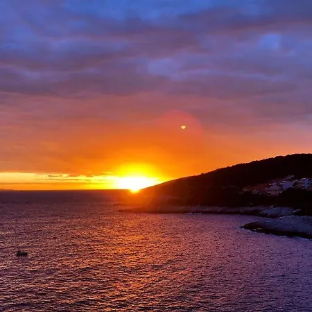 Tomic 아파트 자발라티카