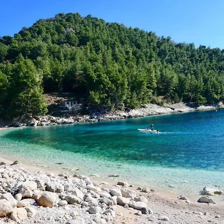 Tomic 자발라티카