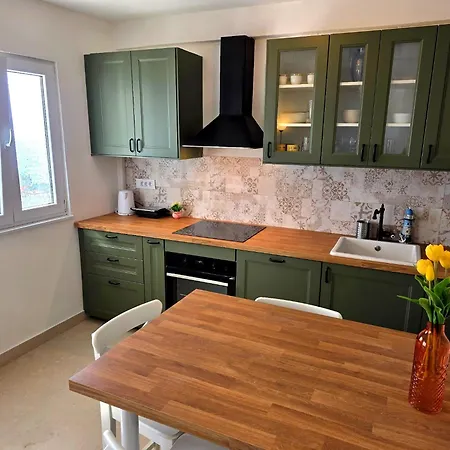 Tomic * 扎瓦拉提卡