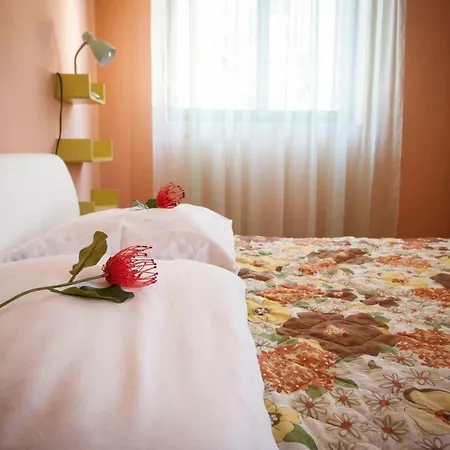 Tomic * 자발라티카