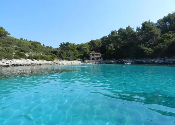 Tomic * 扎瓦拉提卡