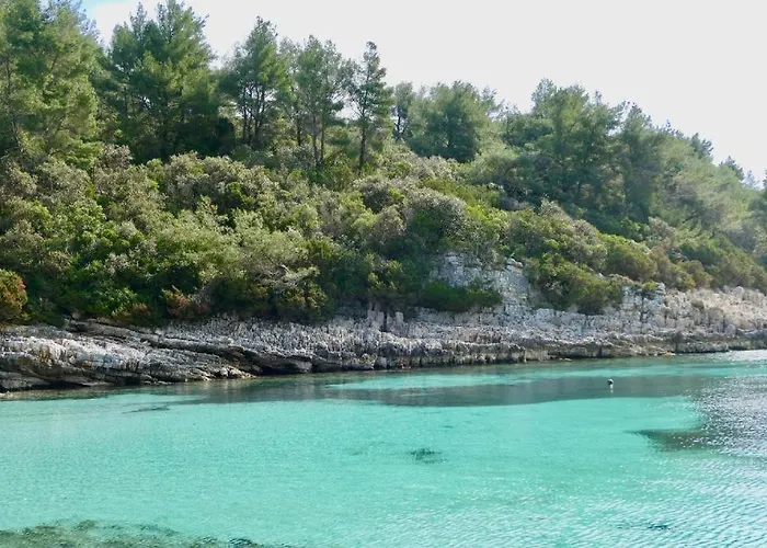 Tomic * 扎瓦拉提卡