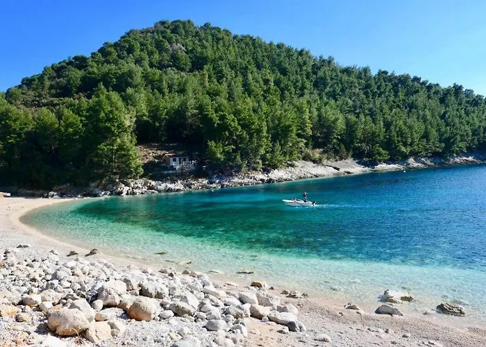 Tomic 扎瓦拉提卡