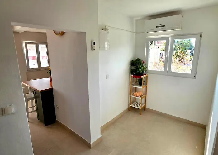 Tomic * 扎瓦拉提卡