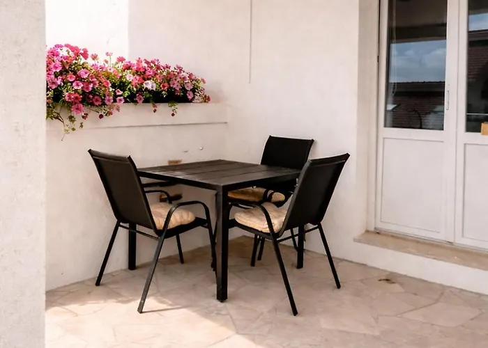 Tomic * 扎瓦拉提卡